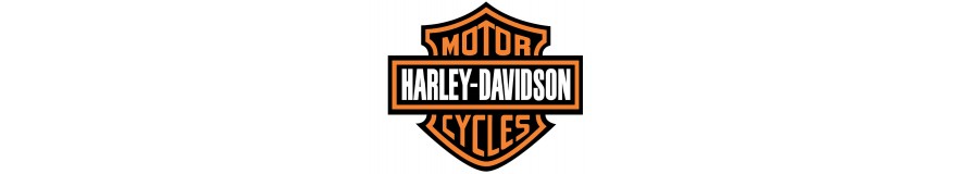 Harley- Davidson