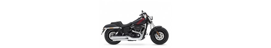 Falcon Fat Bob